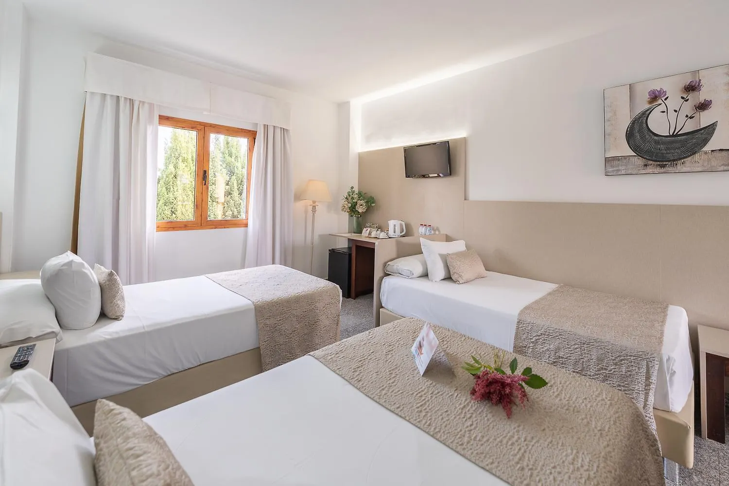 Hotel Plaza Del Castillo Málaga Spanien